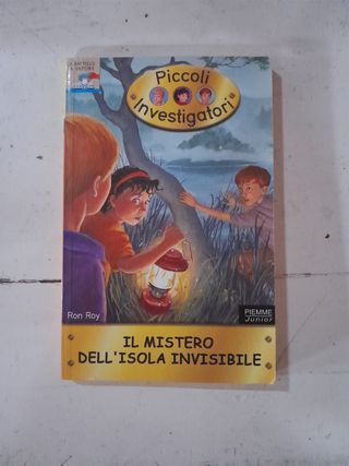 Il mistero dell'isola invisibile. Piccoli investigatori vol. 6