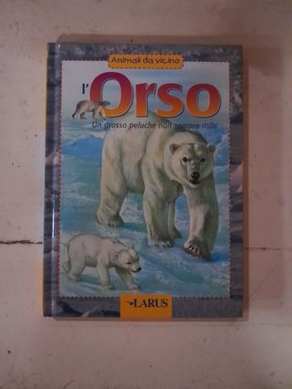 L'orso. Un'indole Solitaria Fra I Ghiacci E Nelle Foreste, In Letargo Per Partorire, Una Madre Severa E Attenta, Vegetariani Ma Anche Carnivori