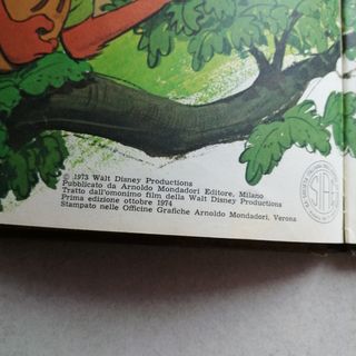 Libro vintage Robin Hood 1973