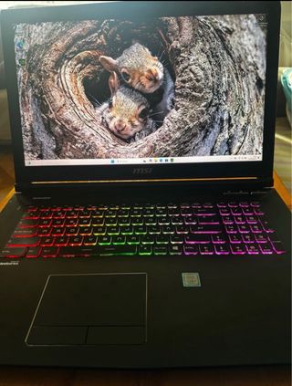 Portatil gaming