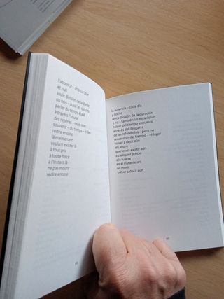 Danielle Collobert antología