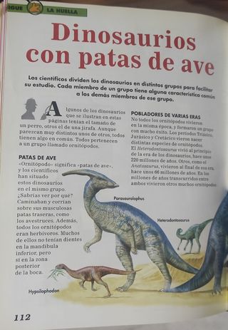 Dinosaurios libros enciclopedia