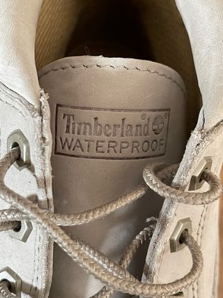 Botines timberland