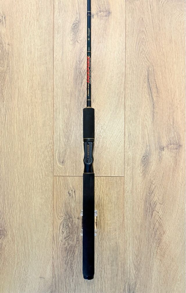 Evergreen Inspire ICSC68H The Triumph