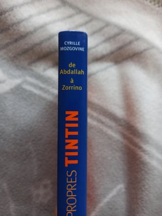 Le Dictionnaire des noms propres de Tintin: De Abdallah à Zorrino