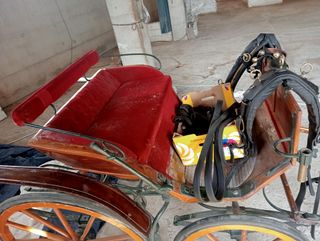 Carro de coche de caballos