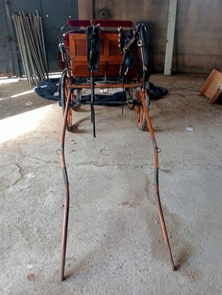 Carro de coche de caballos