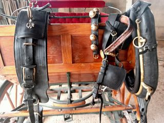 Carro de coche de caballos