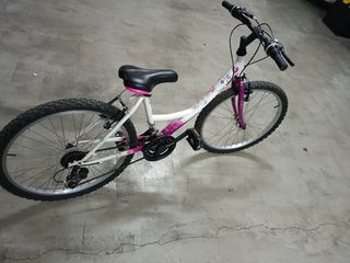 Bicicleta.