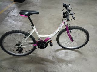 Bicicleta.