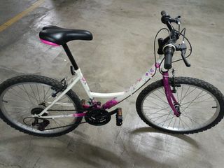 Bicicleta.
