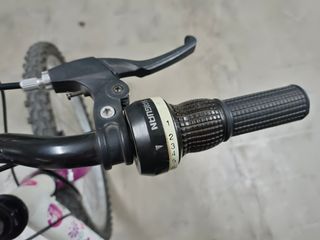 Bicicleta.