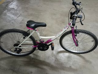 Bicicleta.