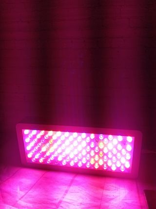 Luces Led lámpara plantas