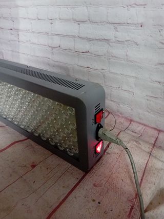 Luces Led lámpara plantas