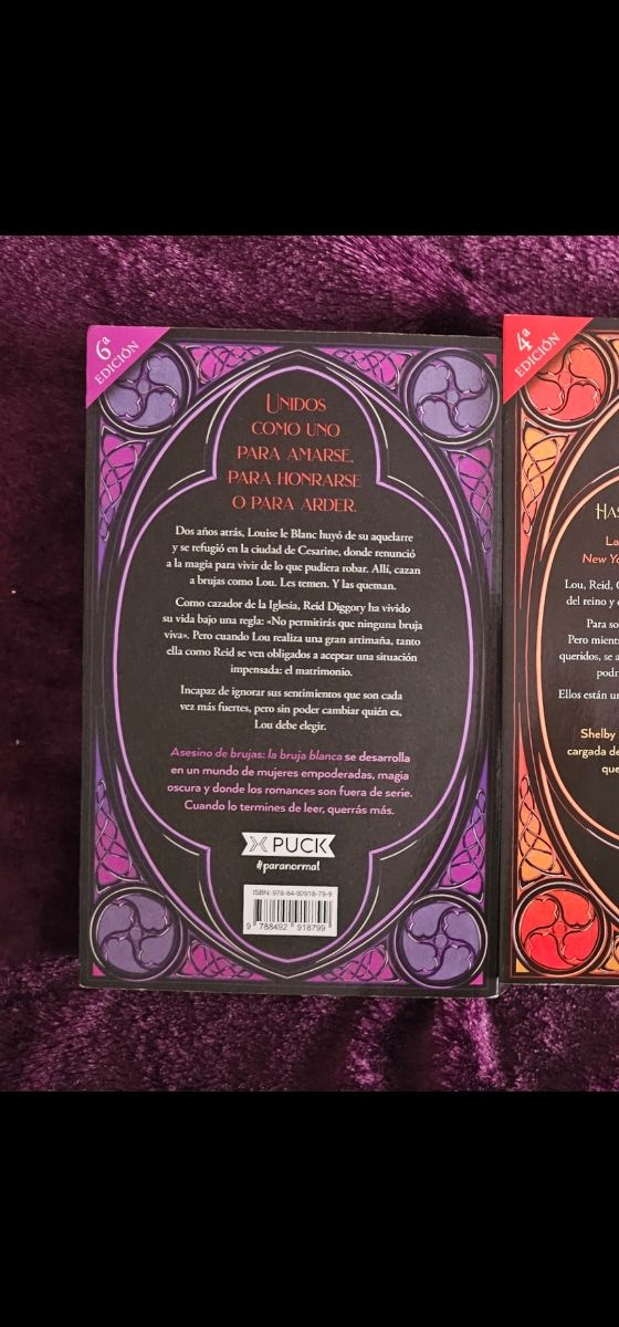 Libro 1 - Asesino de brujas