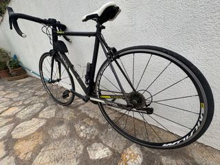 Canyon Endurace Al