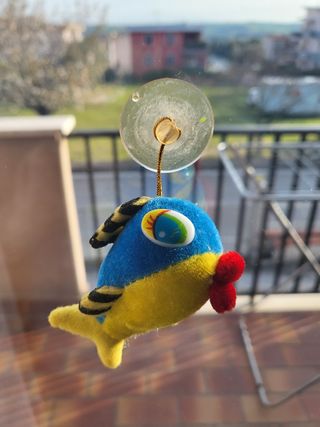 Pesciolino con ventosa