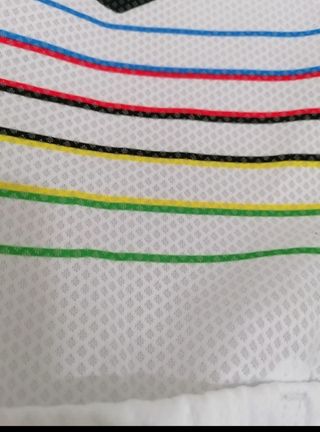 Maillot campeón del mundo uci