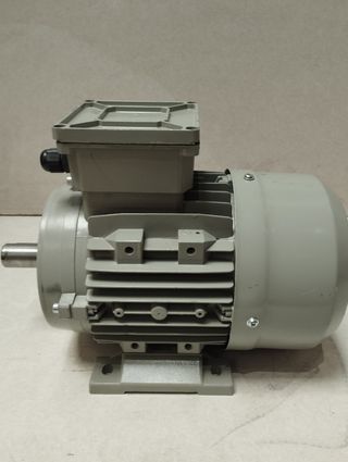 MOTOR ELECTRICO