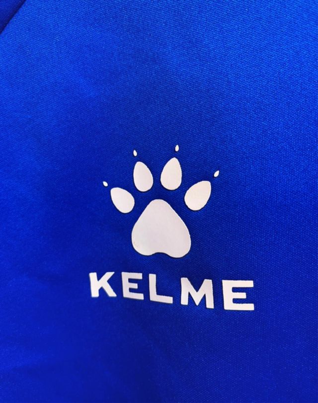 Sudadera del deportivo Alavés