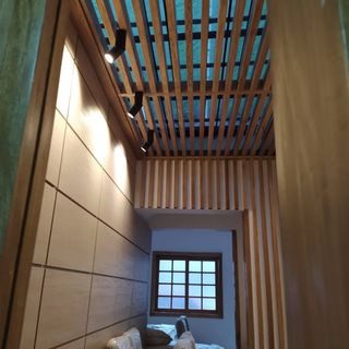 carpintero particular