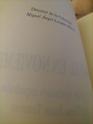 Carnaval en noviembre: Parodias teatrales española de Don Juan Tenorio (Literatura y crítica) (Spanish Edition)