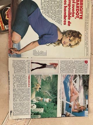 Revistas Teleindiscreta