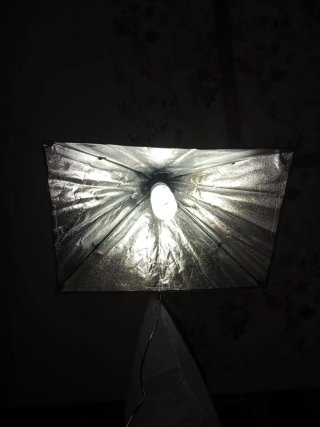 Aro de luz con tripode y foco de luz