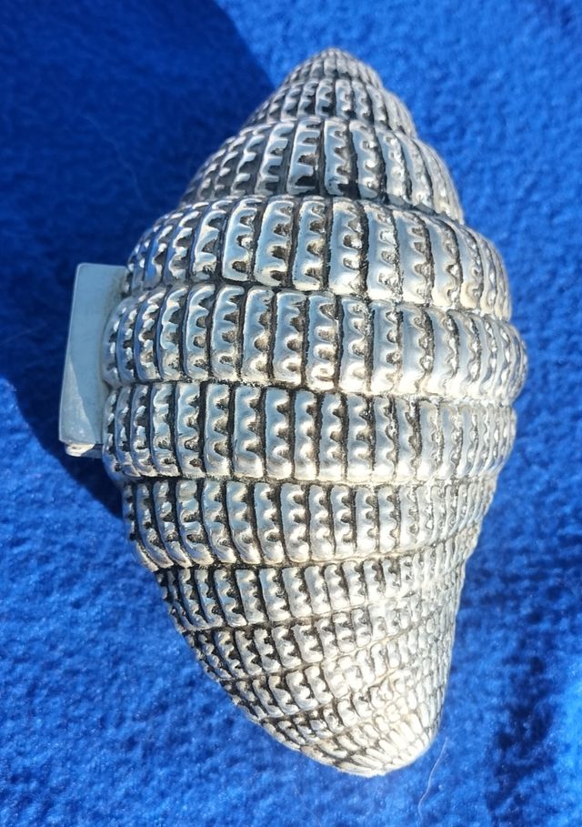 conchiglia in bronzo e portagioie in velluto