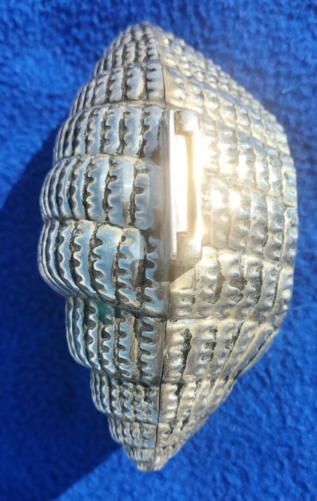 conchiglia in bronzo e portagioie in velluto