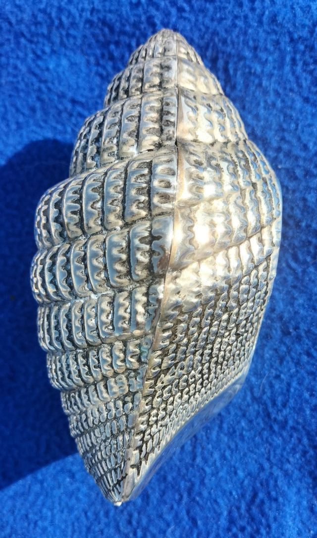 conchiglia in bronzo e portagioie in velluto