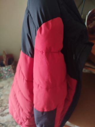 Cazadora chaqueta