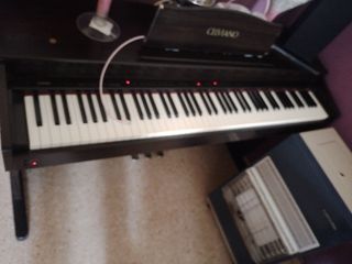 Piano celviano 