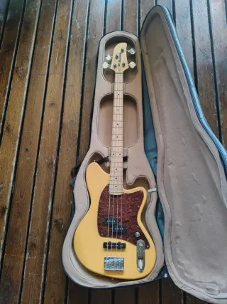 Esruche rígido para bajo bass funda maleta rígida