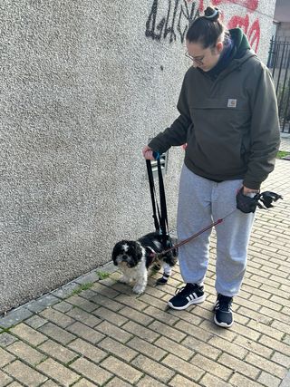 Arnes patas traseras perro