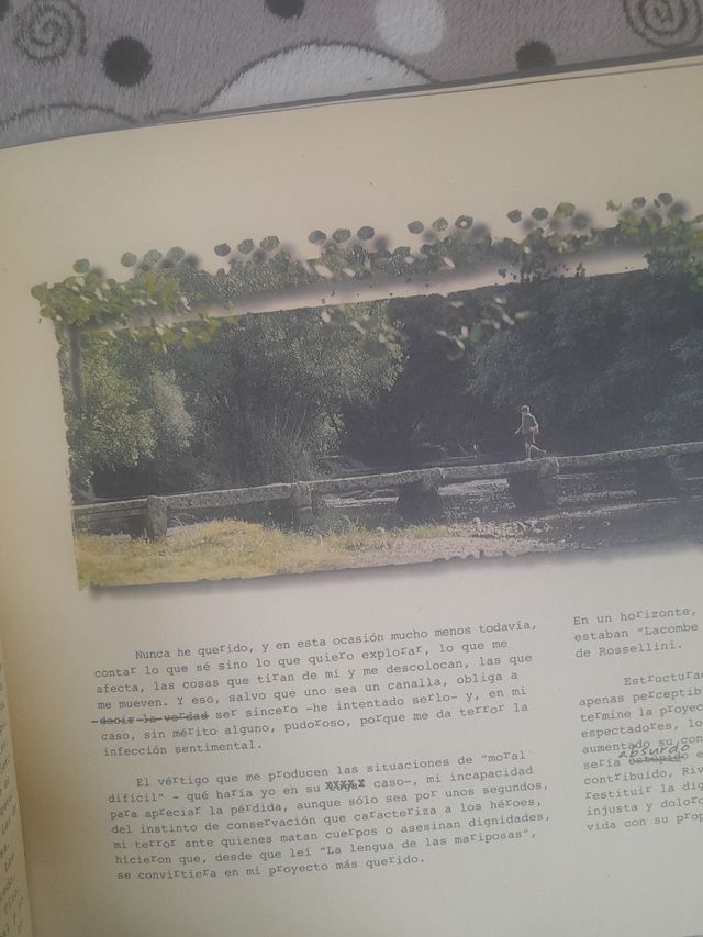 La lengua de las mariposas películas