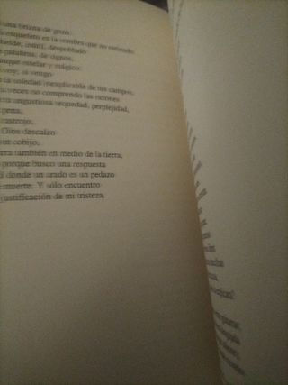 Góndolas y otras adivinaciones.