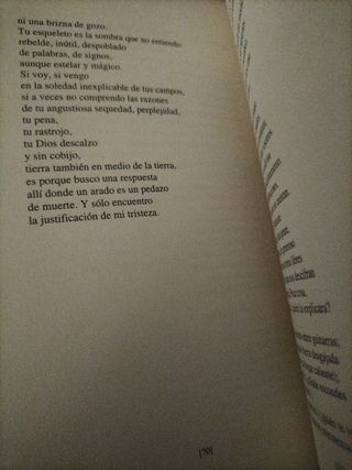 Góndolas y otras adivinaciones.