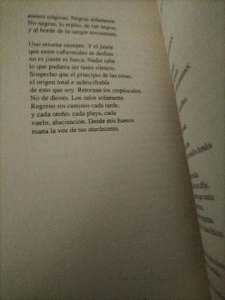 Góndolas y otras adivinaciones.