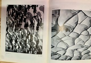 Libri fotografici dell'anno