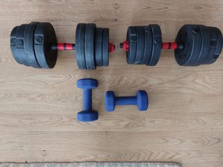 Pesas de musculacion
