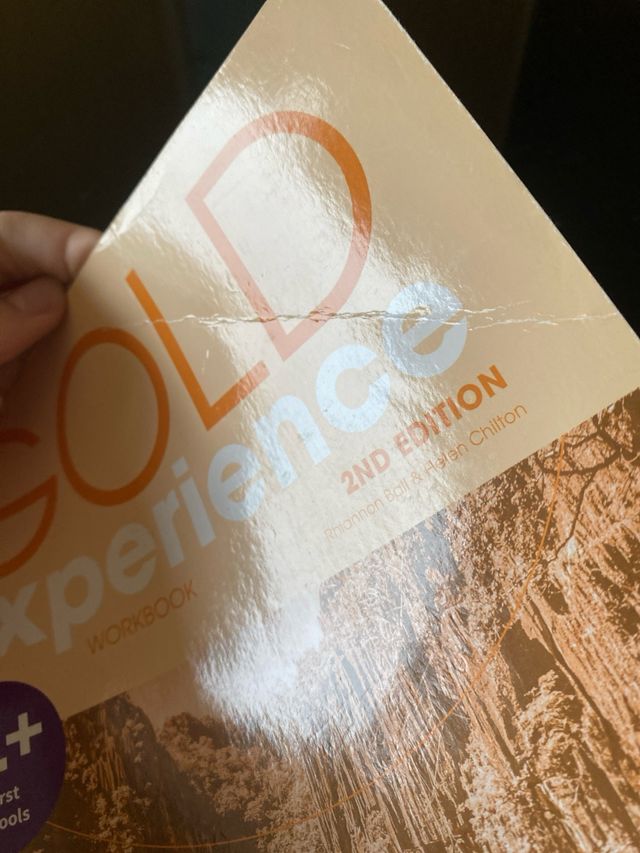 Gold Experience 2nd Edition B1 Workbook Gold Exp