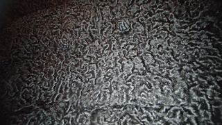 Abrigo largo astracán negro