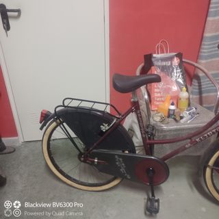 Bicicleta de paseo
