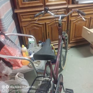 Bicicleta de paseo