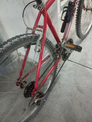 Bicicleta niño-niña-mujer