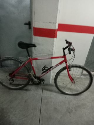 Bicicleta niño-niña-mujer