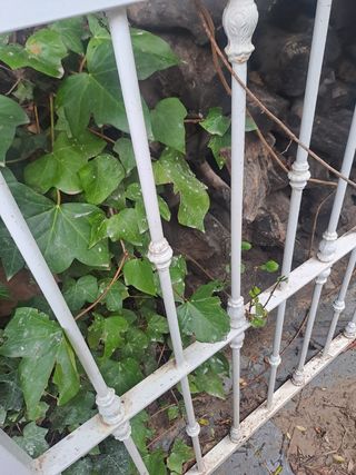 Rejas ventana hierro forjado