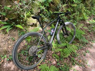 Orbea alma m50 2022